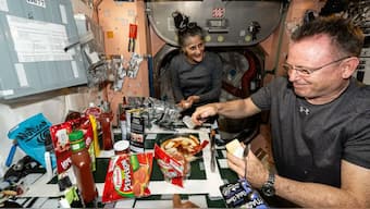 A doctor raised concerns about Sunita Williams' health after this image was released. Image courtesy: X/@arboretum914
