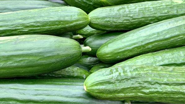Possible salmonella outbreak prompts recall of cucumbers from 26 US states, some provinces of Canada