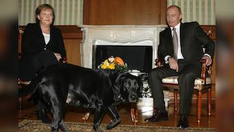 An image from the 2007 meeting between then-German Chancellor Angela Merkel and Russian President Vladimir Putin. File image/AP