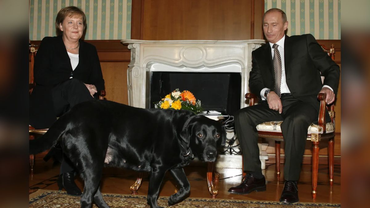 An image from the 2007 meeting between then-German Chancellor Angela Merkel and Russian President Vladimir Putin. File image/AP An image from the 2007 meeting between then-German Chancellor Angela Merkel and Russian President Vladimir Putin. File image/AP