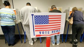 From ChatGPT to viral hippo Moo Deng, all the predictions for the US elections