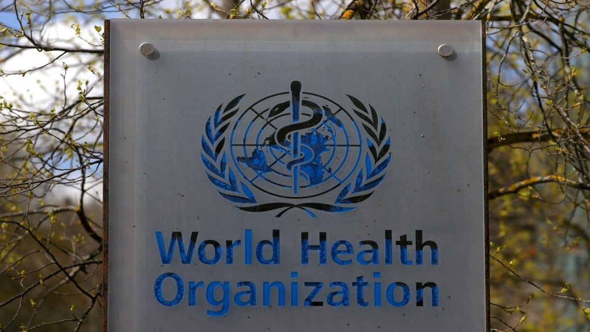 WHO gives green light to first trial of tuberculosis test