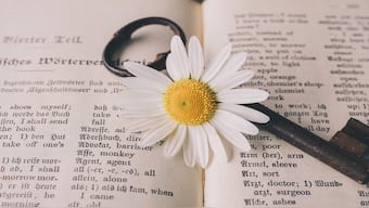 ‘Manifest’ is Cambridge Dictionary’s Word of the Year for 2024. Representational Image/Pixabay