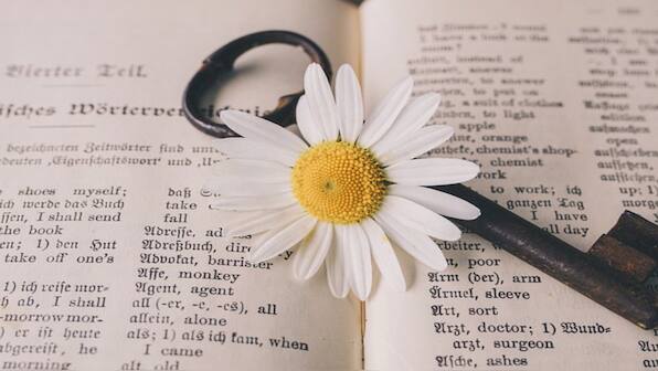 In Graphics | Why ‘manifest’ is Cambridge Dictionary’s Word of the Year 2024