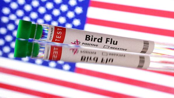 Could bird flu trigger another pandemic?