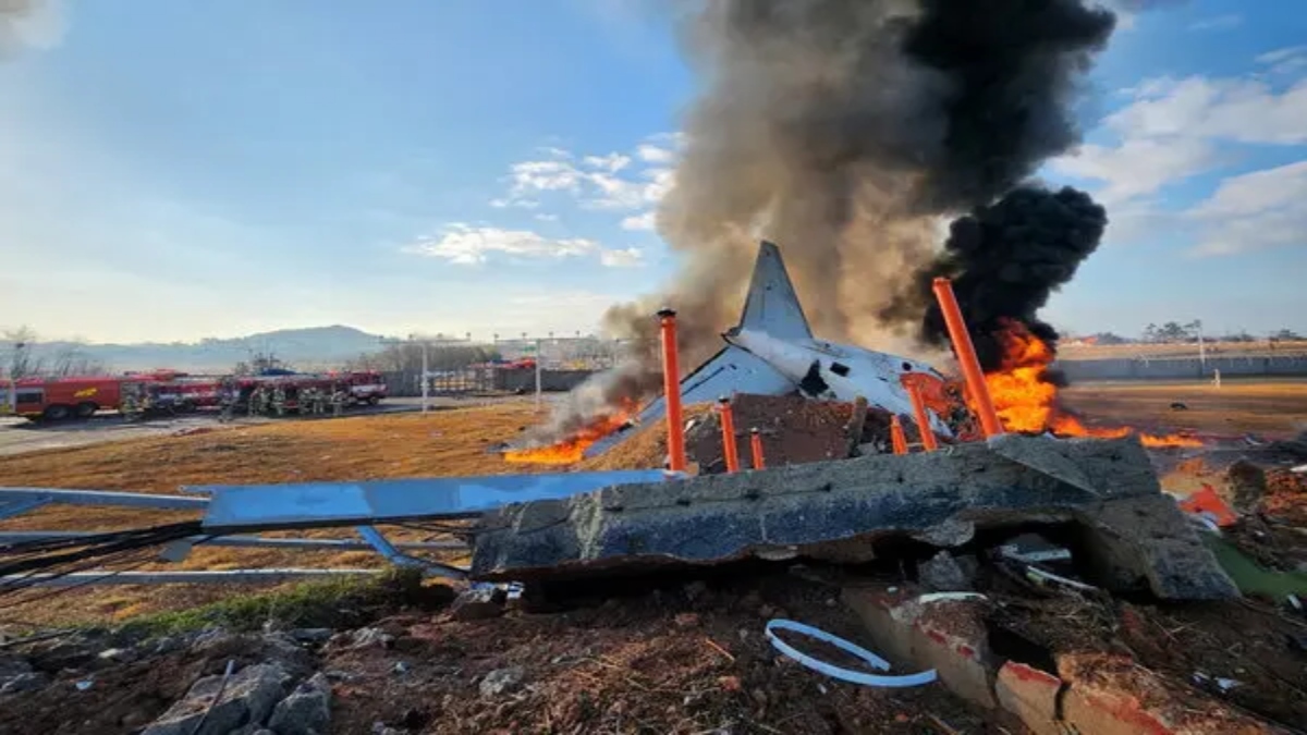Did a bird strike cause the South Korean flight crash? Experts say... Did a bird strike cause the South Korean flight crash? Experts say...