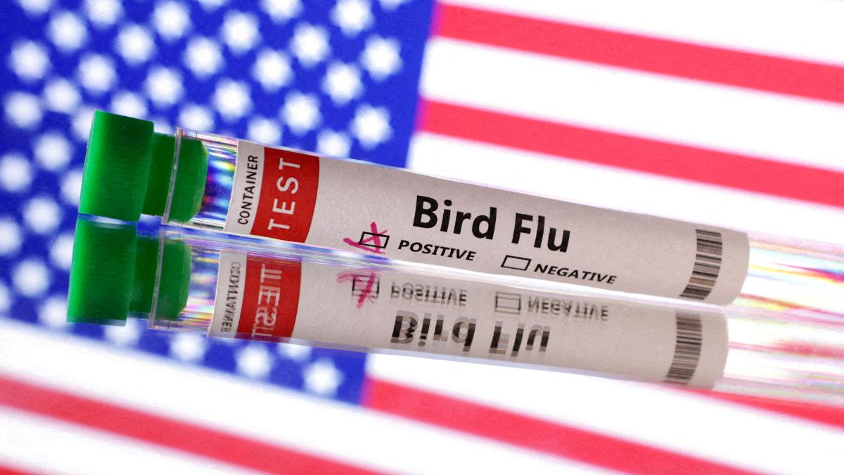 US reports first severe bird flu case: How worried should humans be? US reports first severe bird flu case: How worried should humans be?