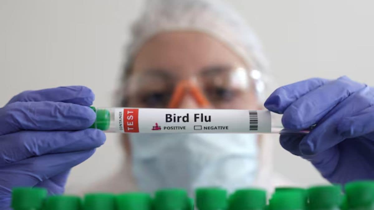 Why has California declared emergency over bird flu? Should US be concerned?