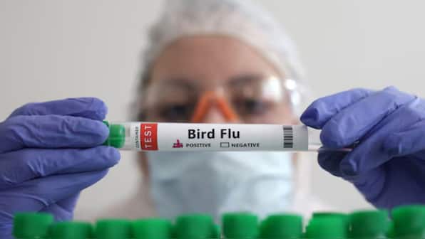 Why has California declared emergency over bird flu? Should US be concerned?