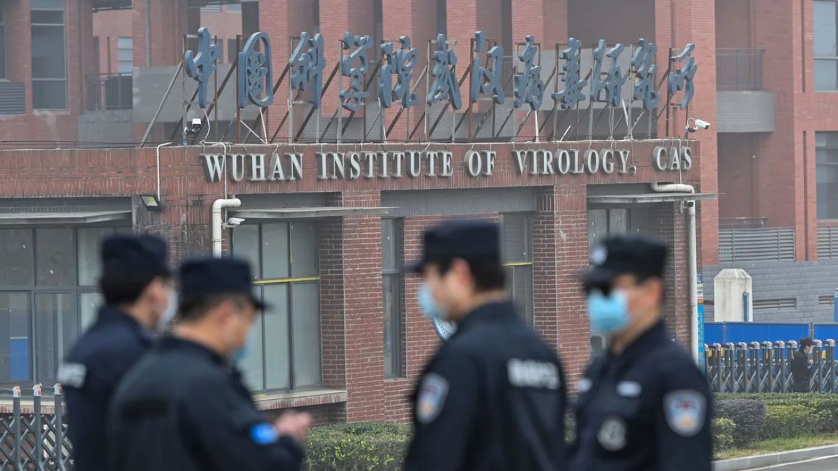 German intelligence concluded Covid virus came from Chinese lab, govt blocked findings: Report German intelligence concluded Covid virus came from Chinese lab, govt blocked findings: Report