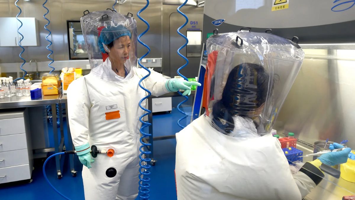 China finds new coronavirus that can infect humans just as Covid-19 did China finds new coronavirus that can infect humans just as Covid-19 did