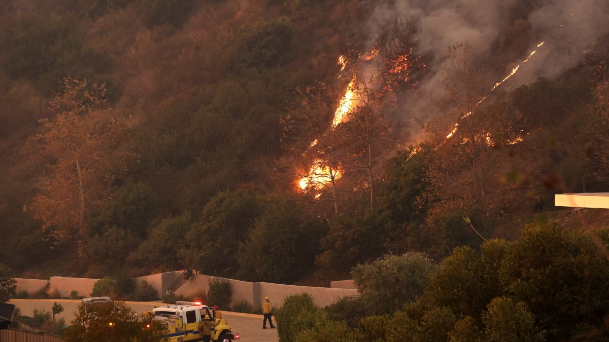 Fire rages out of control in Malibu, thousands under compulsory evacuation order Fire rages out of control in Malibu, thousands under compulsory evacuation order