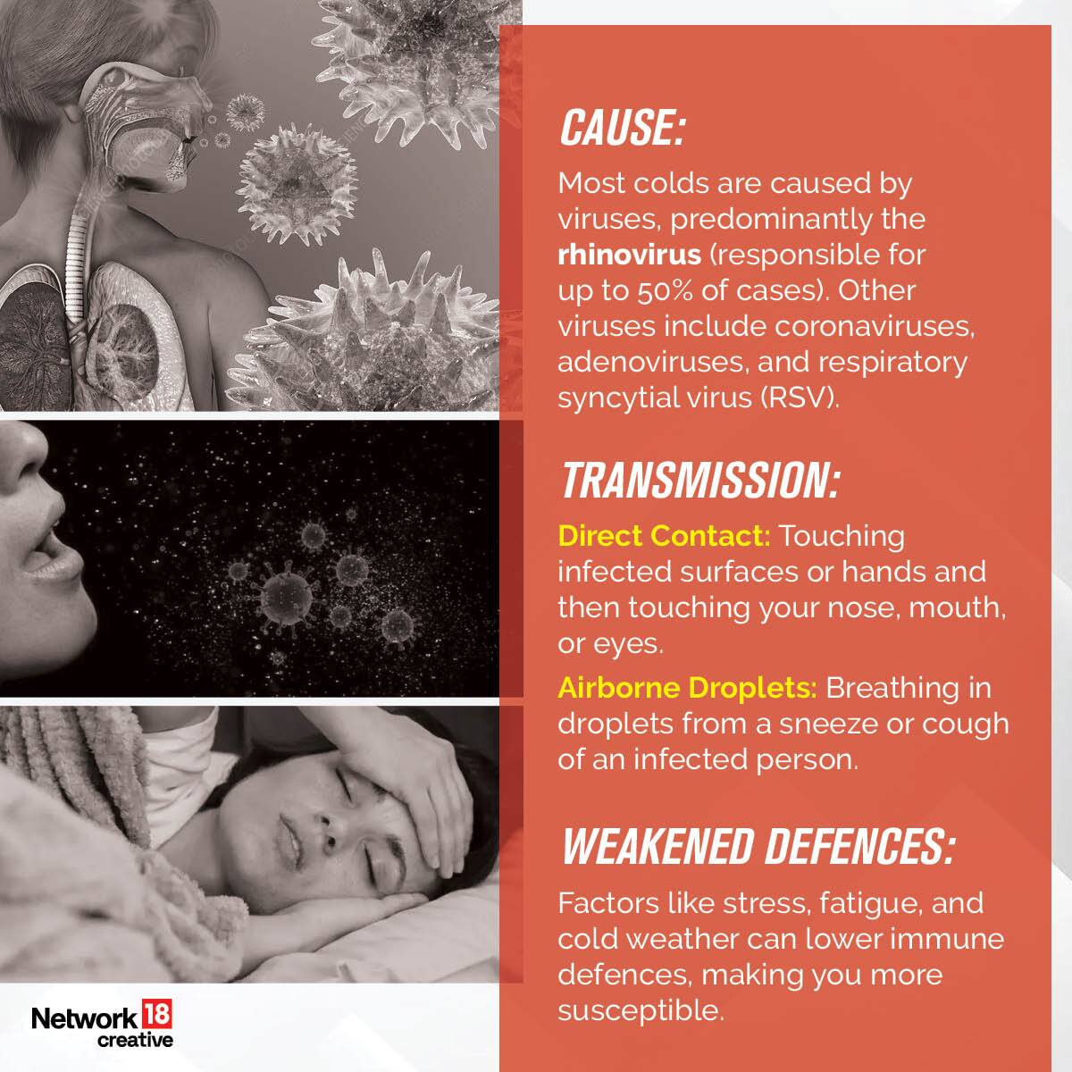 HOW DO A PERSON CATCH A COLD visual data 3