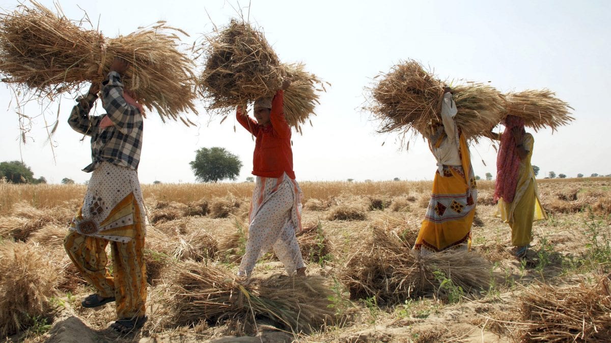 How banks are using satellite images to determine farmers' income & repayment capacity