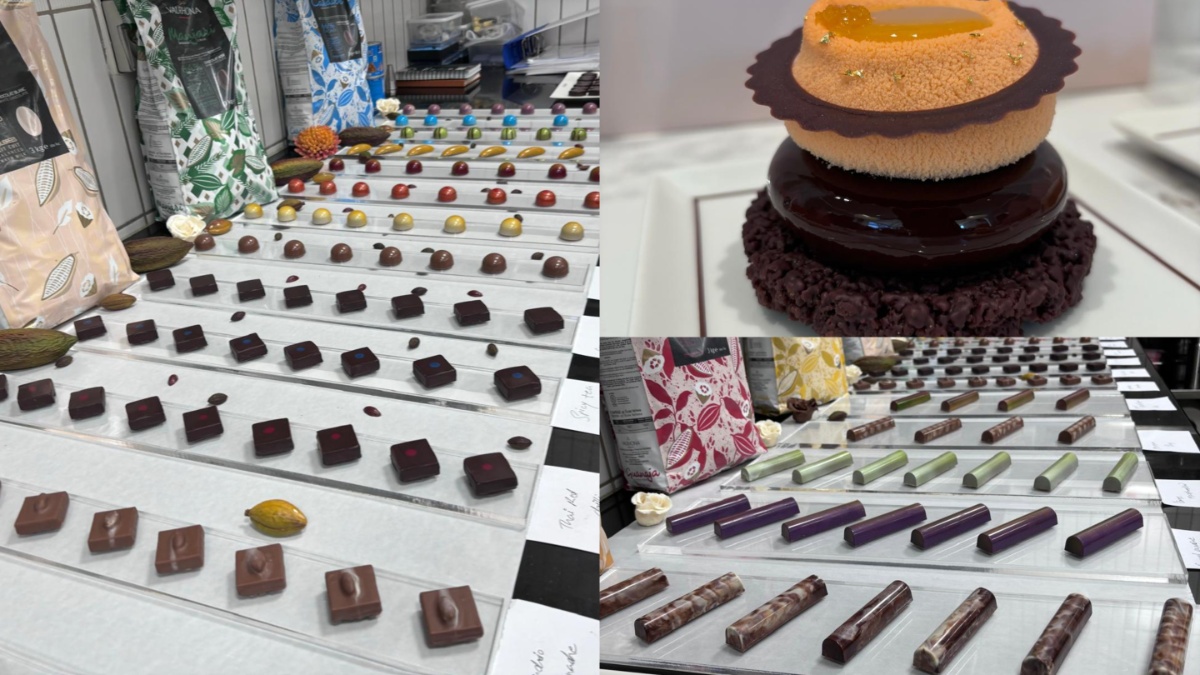 Chocolate coma Chocolate coma