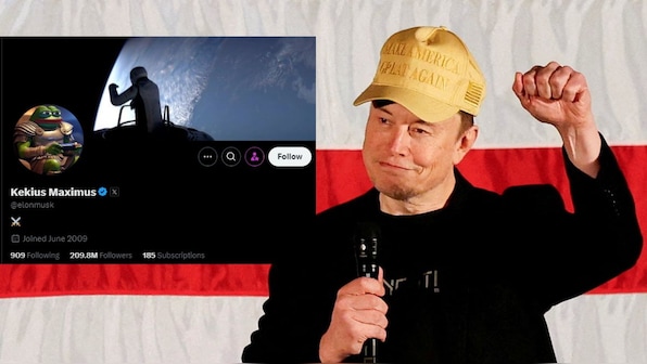 Elon Musk becomes 'Kekius Maximus' on X: What's the story behind the name?  – Firstpost