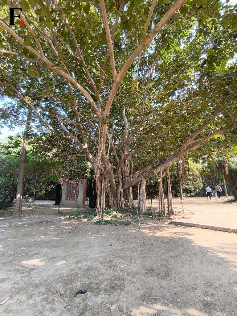 Redmi Note 14 Pro Camera Samples-01-2024-12-c41c681c8b275a55d5e08e4d2ed2991b