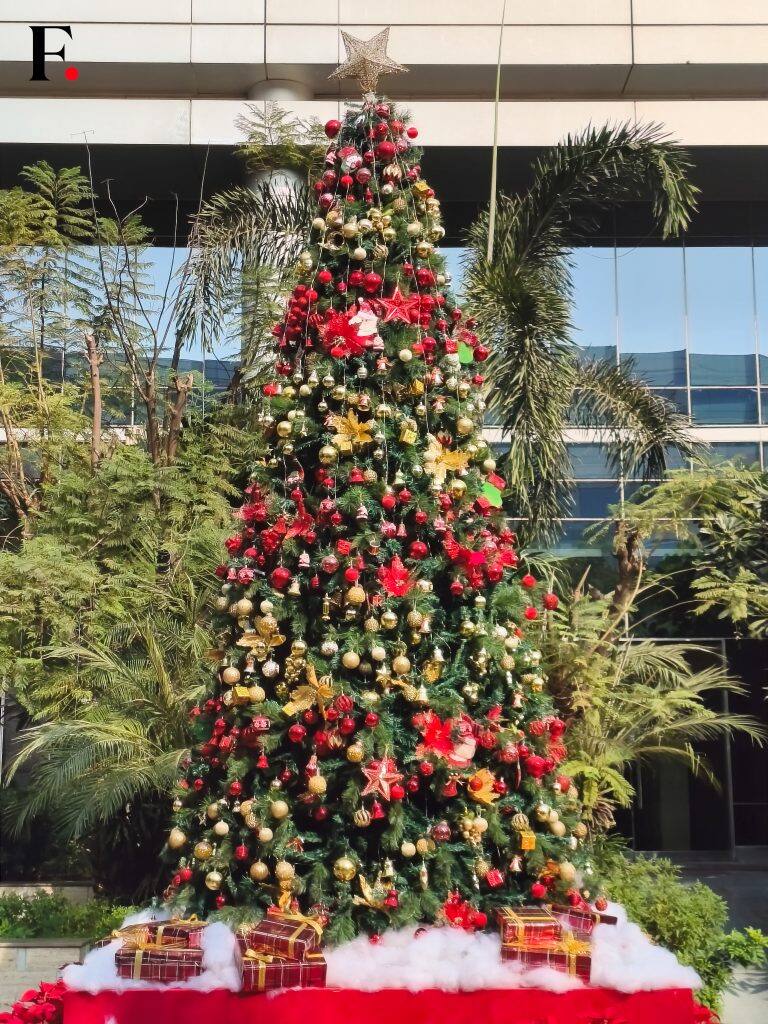 Redmi Note 14 Pro Camera Samples-05-2024-12-fba3f15f09a9aba32661ba145ad2680e