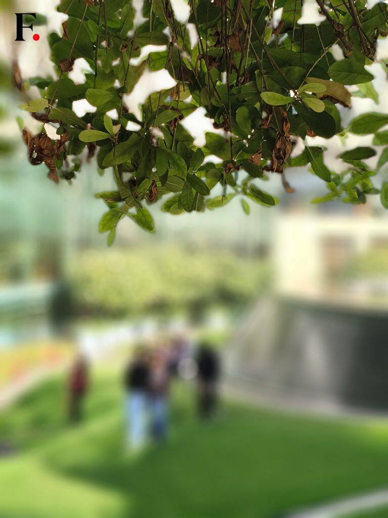 Redmi Note 14 Pro Camera Samples-10-2024-12-18d43aaf831a561e27852d3c58ce7e79
