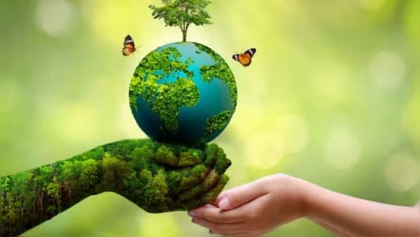 India's green leap driving its climate goals for a sustainable future