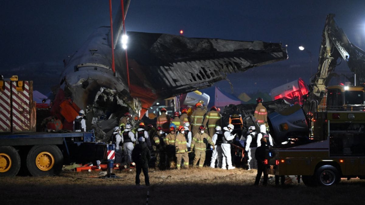 Did a bird strike cause the South Korean flight crash? Experts say...