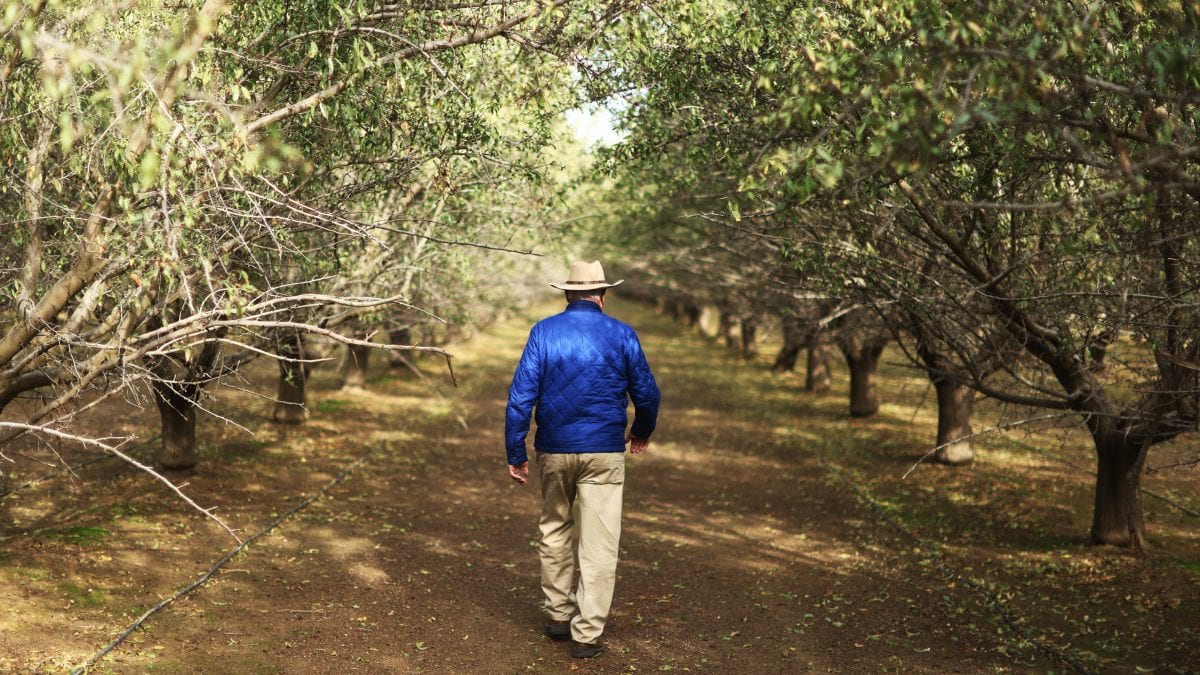 Farmers fear Trump's deportation plans will leave fields unharvested