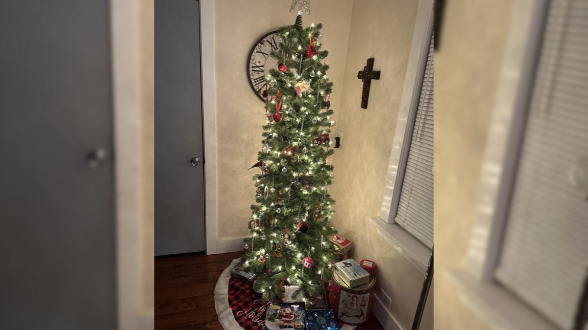 Slim and Trim: Now even Christmas trees are getting skinnier. Here’s why