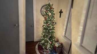 Skinny trees are especially popular in apartments or urban homes where space is limited. Image courtesy: X/@LittleTrainO2
