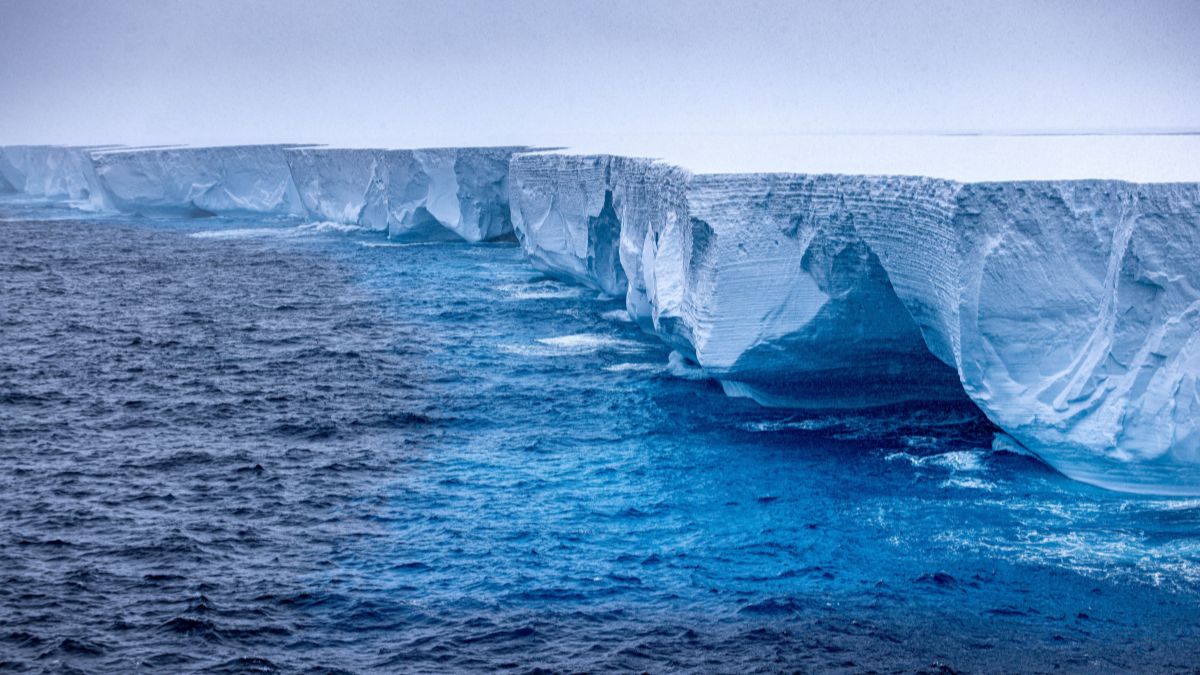 The world's largest iceberg, named A23a, is seen in Antarctica, on January 14, 2024. Image courtesy: naturespic.com/Reuters.
 The world's largest iceberg, named A23a, is seen in Antarctica, on January 14, 2024. Image courtesy: naturespic.com/Reuters.