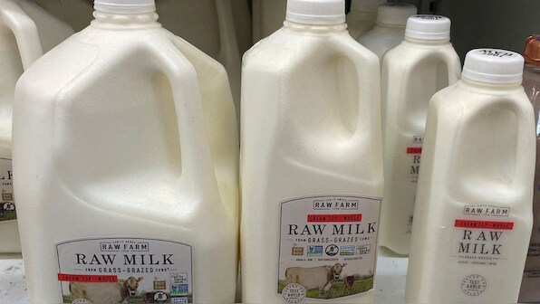 Can drinking raw milk cause bird flu? US health officials probing a child’s case to find link