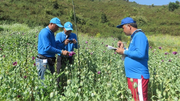 World is giving up on opium but Myanmar is not, and that is a problem