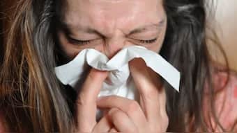 The human metapneumovirus (HMPVI) mimics the symptom of the common cold. Image for Representation. Pixabay