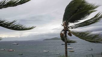This photo provided Sunday Dec.15, 2024 by the French Army shows palm tress during strong winds in the French territory of Mayotte in the Indian Ocean, after Cyclone Chido caused extensive damage with reports of several fatalities, Saturday Dec.14, 2024. File Image / AP