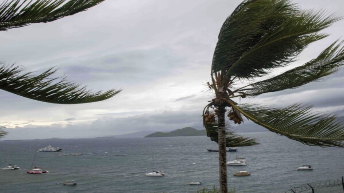 This photo provided Sunday Dec.15, 2024 by the French Army shows palm tress during strong winds in the French territory of Mayotte in the Indian Ocean, after Cyclone Chido caused extensive damage with reports of several fatalities, Saturday Dec.14, 2024. File Image / AP This photo provided Sunday Dec.15, 2024 by the French Army shows palm tress during strong winds in the French territory of Mayotte in the Indian Ocean, after Cyclone Chido caused extensive damage with reports of several fatalities, Saturday Dec.14, 2024. File Image / AP