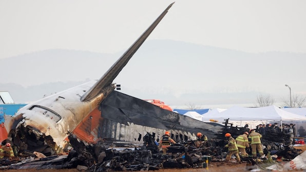 South Korean airplane crash: Why bird strike theory behind mishap that killed 179 is being questioned