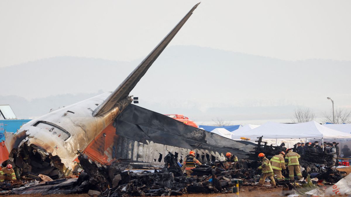 South Korean airplane crash: Why bird strike theory behind mishap that killed 179 is being questioned South Korean airplane crash: Why bird strike theory behind mishap that killed 179 is being questioned