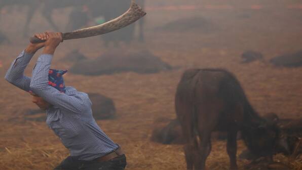 What is Nepal’s Gadhimai festival, known as ‘world’s bloodiest festival’?