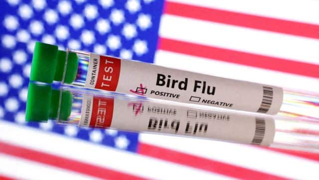Even without the potential ability to spread between humans, bird flu is likely to affect animal health even more in 2025. Reuters