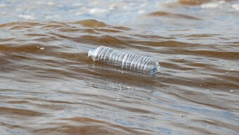 A plastic bottle floats in the sea at Maccarese beach, west of Rome, Italy. File image/ Reuters