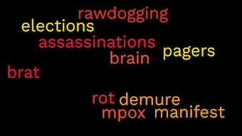 Rewind 2024: Assassinations, brat, manifest… The words that defined the year