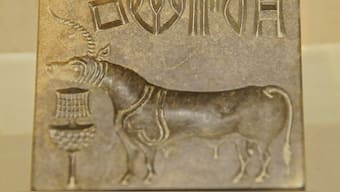 Is 4,500 years old Indus script about to be deciphered? Buzz around AI-driven  research – Firstpost