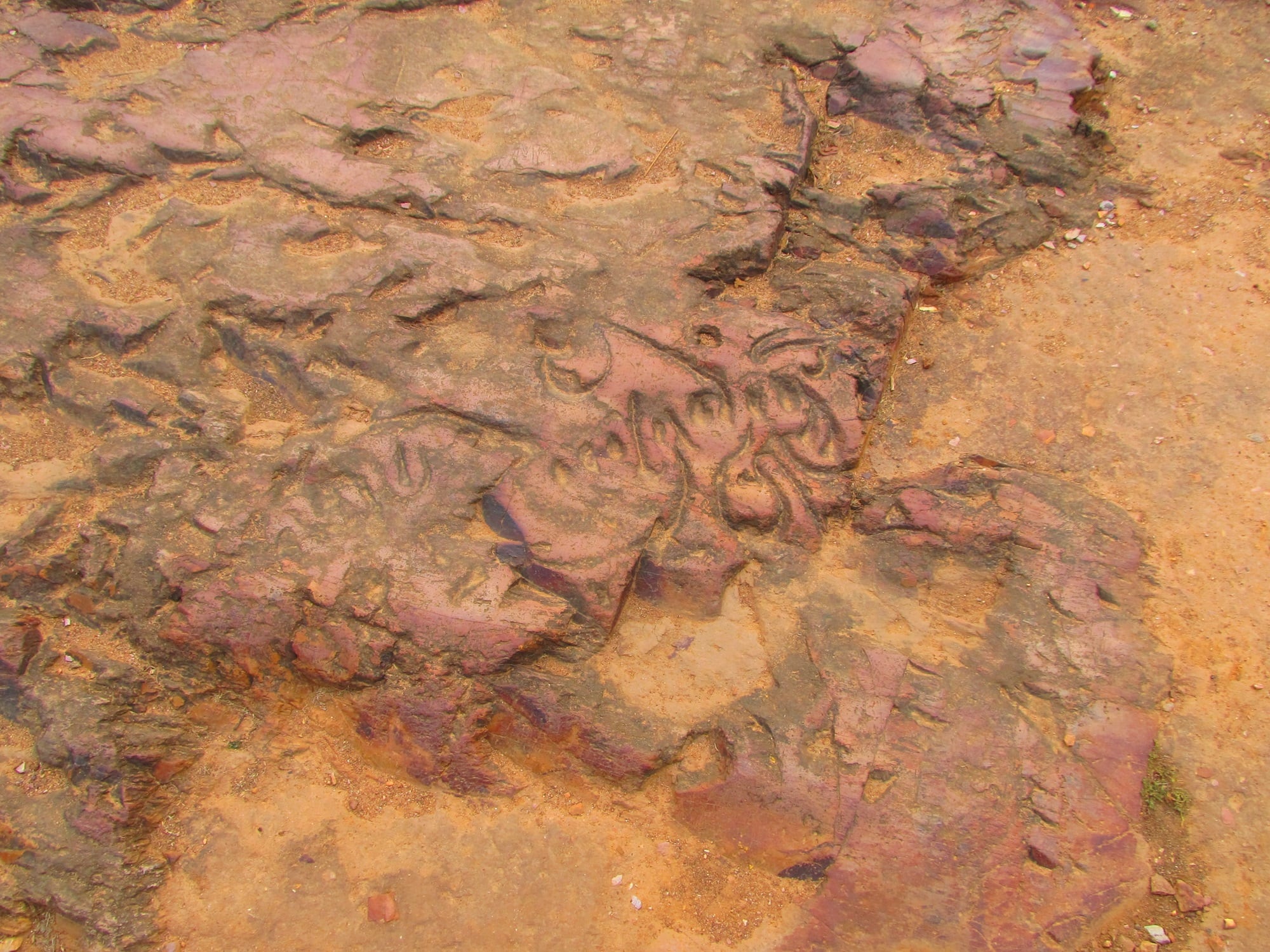 A quest for Bihar’s past: Where tradition is as old as ruins – Firstpost