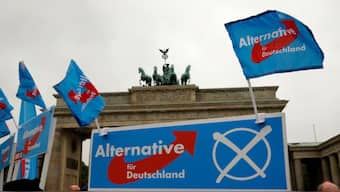 Founded in 2013, the AfD has built its base on staunch opposition to immigration and criticism of European Union policies. Its nationalist, anti-immigrant rhetoric, combined with climate change denial and Euroscepticism, has alarmed many across the political spectrum. Images: REUTERS/Fabrizio Bensch