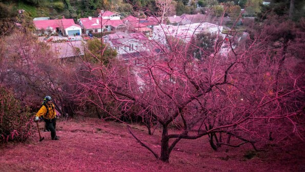 LA fires: Santa Ana winds expected to hit 120 kmph speed today in a dry and dangerous spell