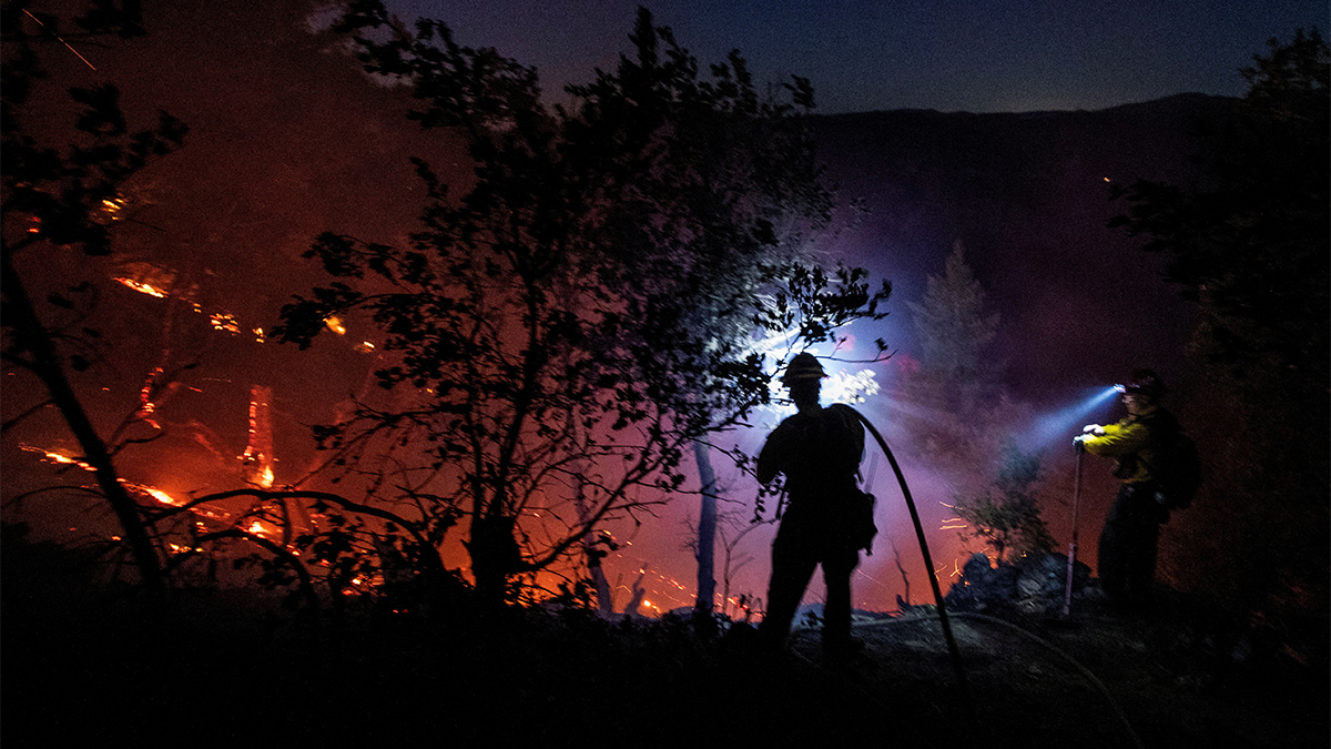 Firefighters battle the fire in the Angeles National Forest near Mt. Wilson as the wildfires burn in the Los Angeles area, during the Eaton Fire in Altadena, California, US on January 9, 2025. Reuters Firefighters battle the fire in the Angeles National Forest near Mt. Wilson as the wildfires burn in the Los Angeles area, during the Eaton Fire in Altadena, California, US on January 9, 2025. Reuters