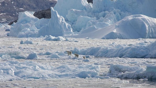 Trump wants Denmark's Greenland, territory wants independence. What's going on?