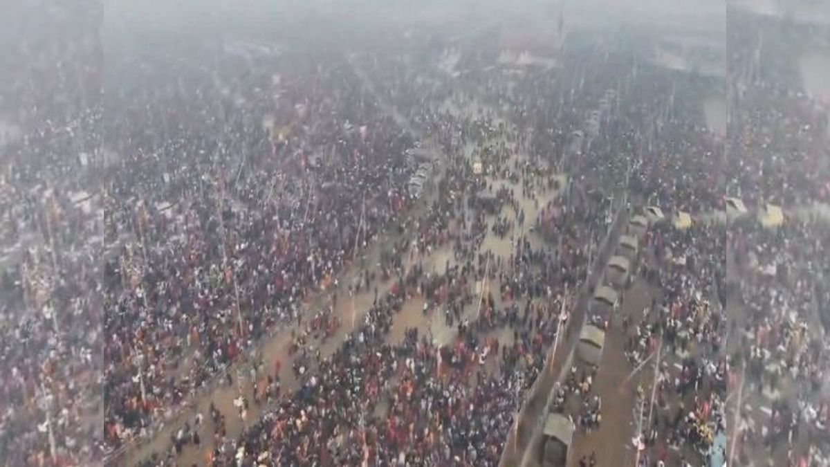 Stampede in Mahakumbh Updates: 30 people dead, 60 injured, says DIG Vaibhav Krishna Stampede in Mahakumbh Updates: 30 people dead, 60 injured, says DIG Vaibhav Krishna