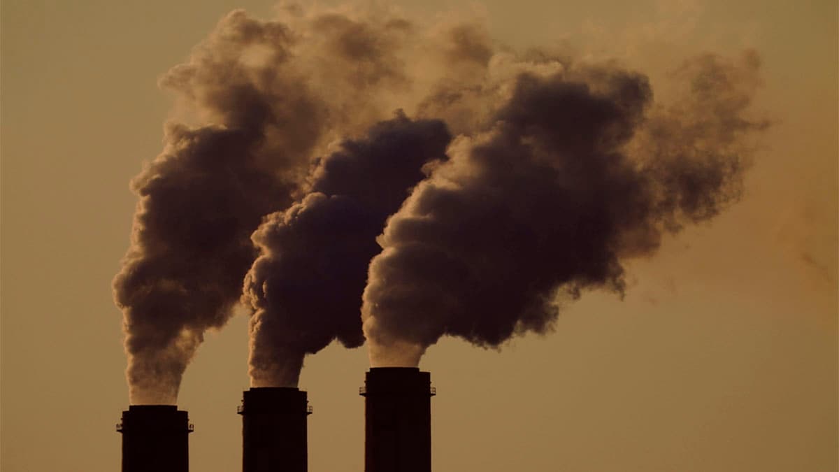 How Union Budget 2025 can drive carbon reduction