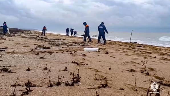 32 dolphins die as oil spill near southern Russia wreaks havoc on marine life