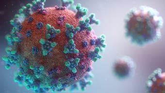 Human coronavirus HKU1, commonly known as Betacoronavirus hongkonense, is a type of virus that mainly affects the lungs and respiratory system. Representational Image 